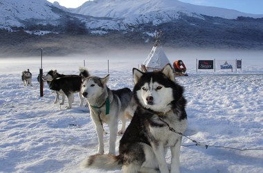 Aventura Blanca Ushuaia | Motos de Nieve y Trineos con Huskies